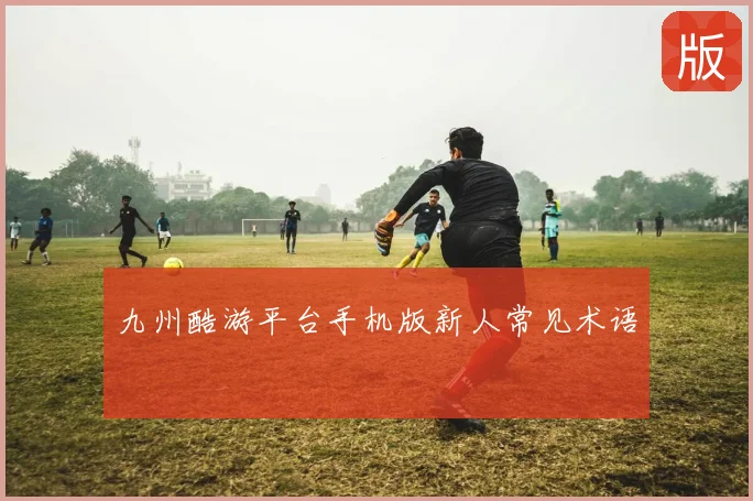 九州酷游平台手机版新人常见术语